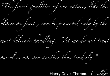 Henry David Thoreau, Walden