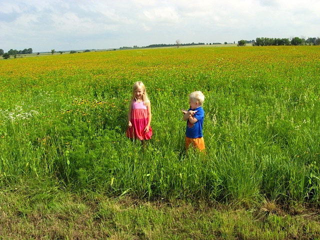 Grandchildren in a meadow with black-eyed Susan in full bloom.