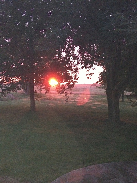 Sunrise at Mettenburg Farm