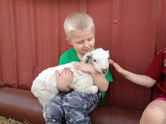 Grandson with new lamb